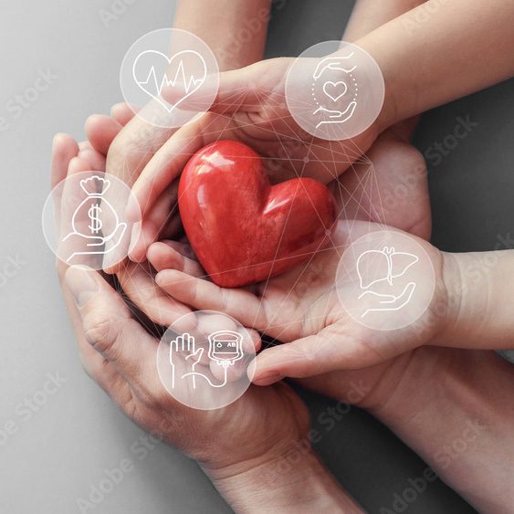 hands holding a fake heart